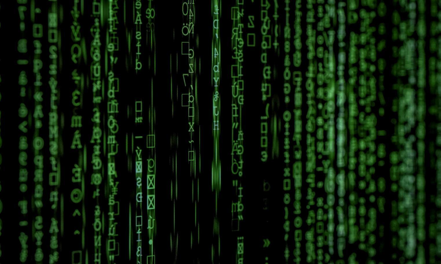 Students collaborating on blockchain development project in hands-on training session